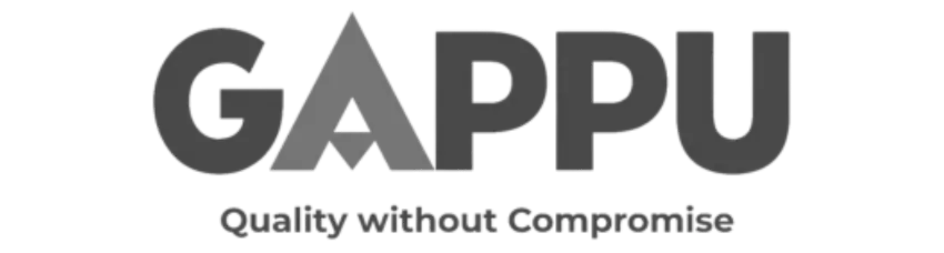 Gappu - Digital Marketing Enterprise