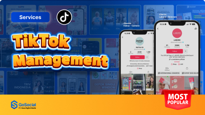 Jasa Lainnya - Pengelolaan TikTok