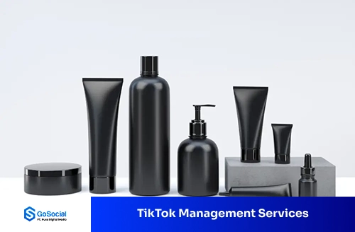 TikTok Content Strategy - GoSocial