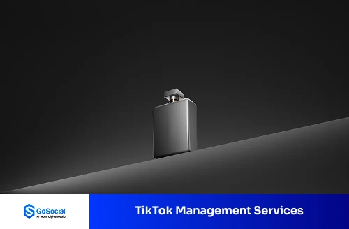 TikTok Content Strategy - GoSocial