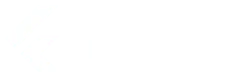 Jasa Pembuatan Website dengan Flutter