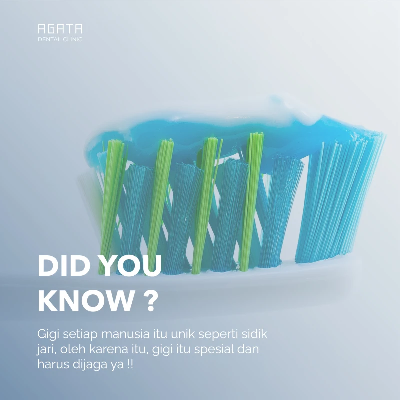 Portofolio - Agata Dental Clinic