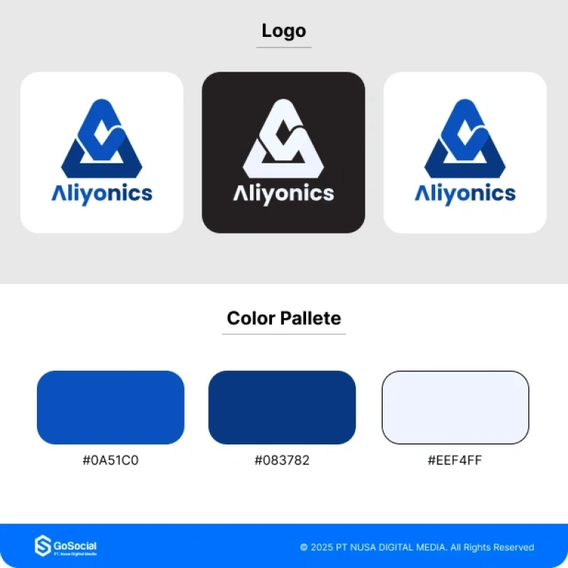Portofolio - Aliyonics