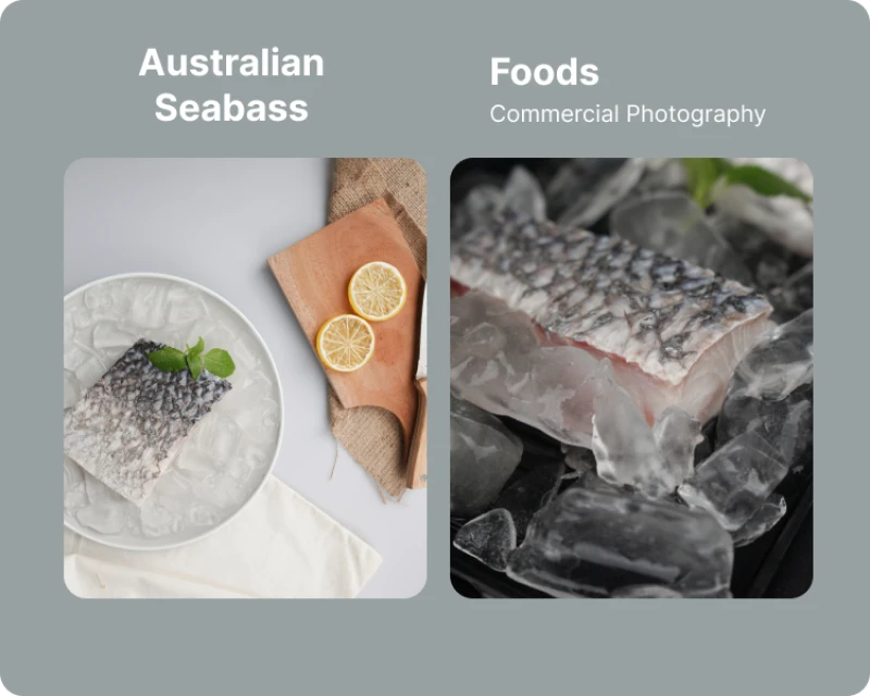 Portofolio - Australian Seabass