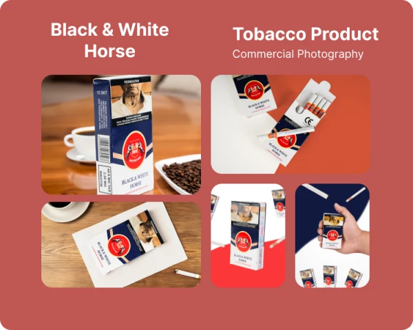 Portofolio - Black & White Horse