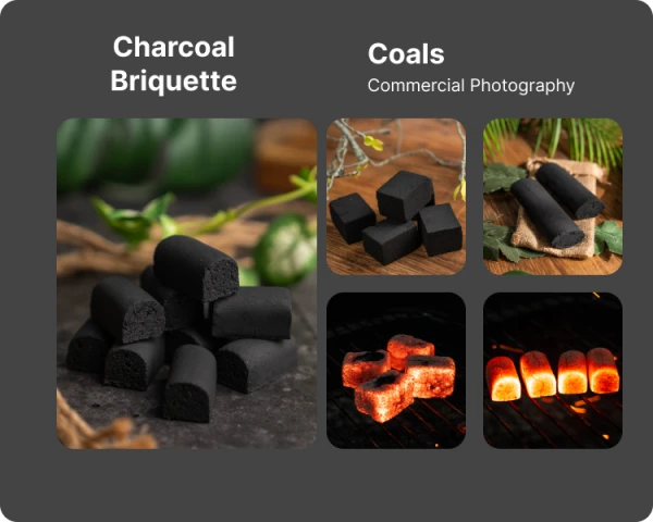 Portofolio - Charcoal Briquette (Arang)