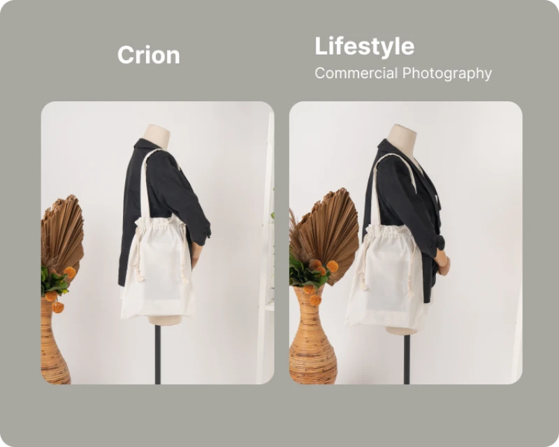 Portofolio - Crion 2