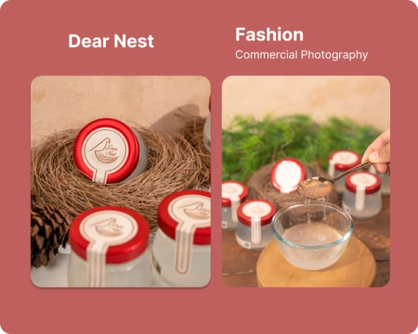Portofolio - Dear Nest