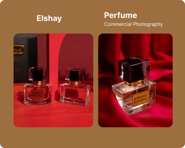 Portofolio - Elshay