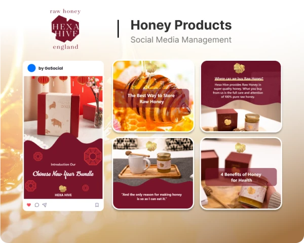 hexa-hive.webp