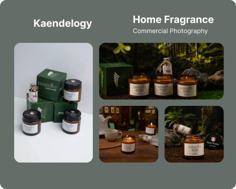 Portofolio - Kaendelogy