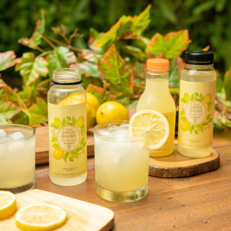 Portofolio - Mondi's Lemon