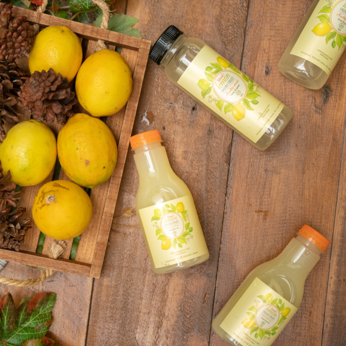 Portofolio - Mondi's Lemon