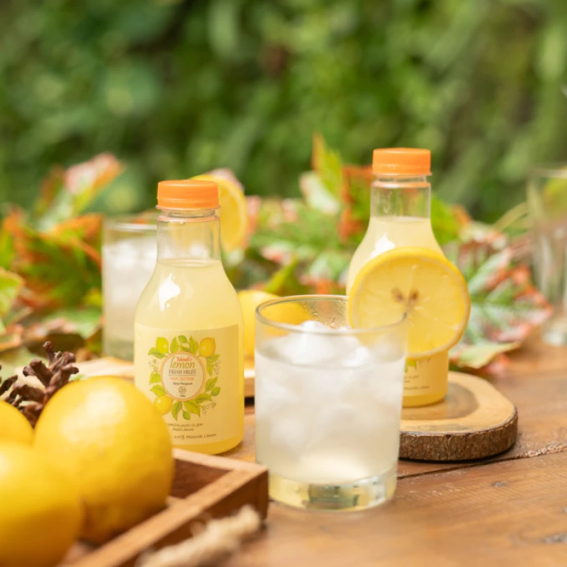 Portofolio - Mondi's Lemon