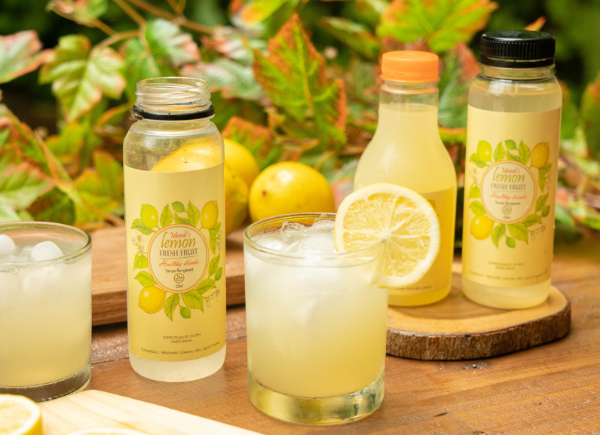 Portofolio - Mondi's Lemon
