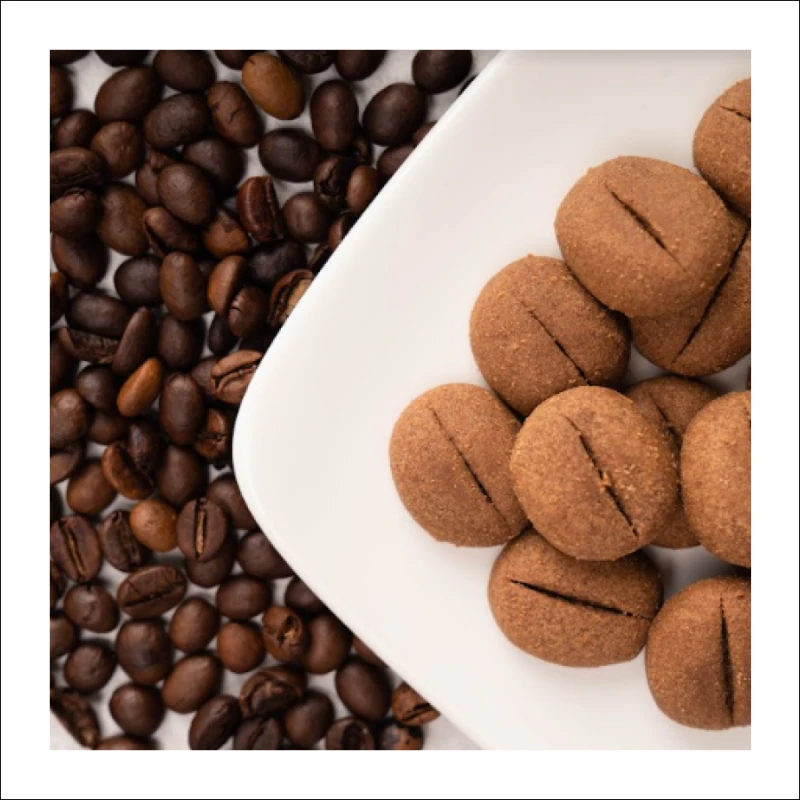 Portofolio - Ozy Food