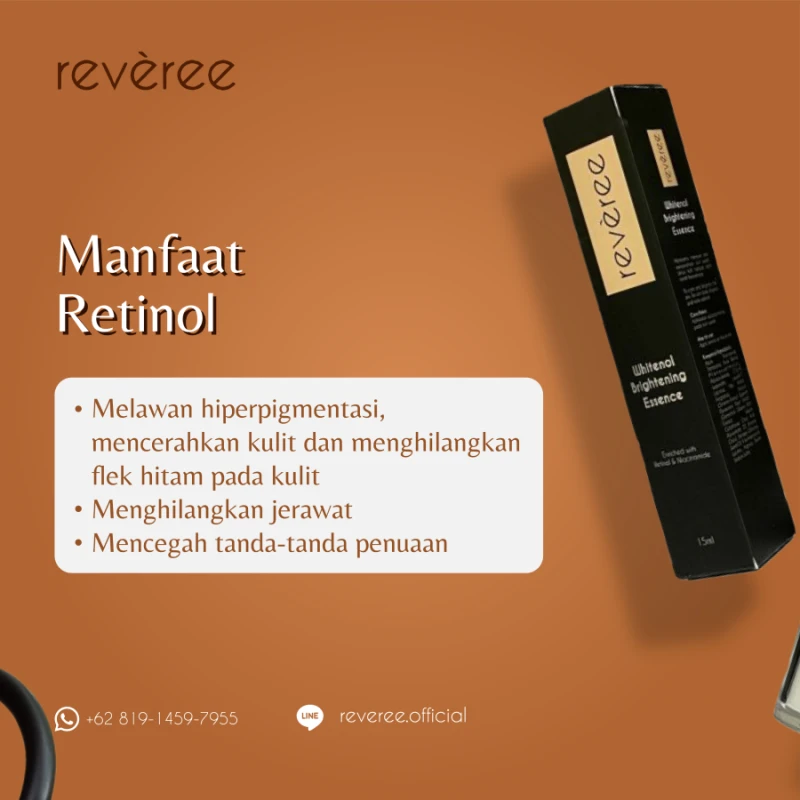 Portofolio - Reveree Official