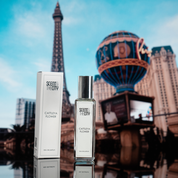 Portofolio - Scent&theCity