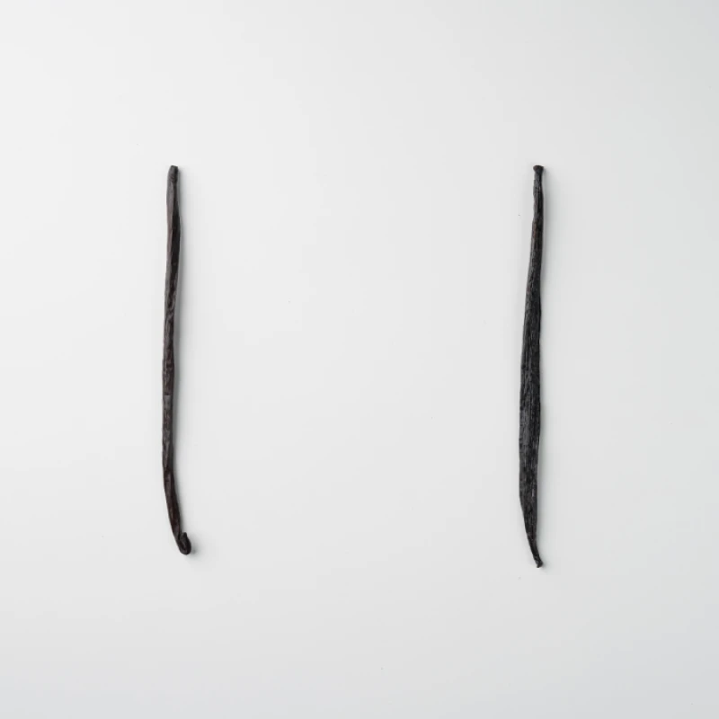 Portofolio - Vanilla