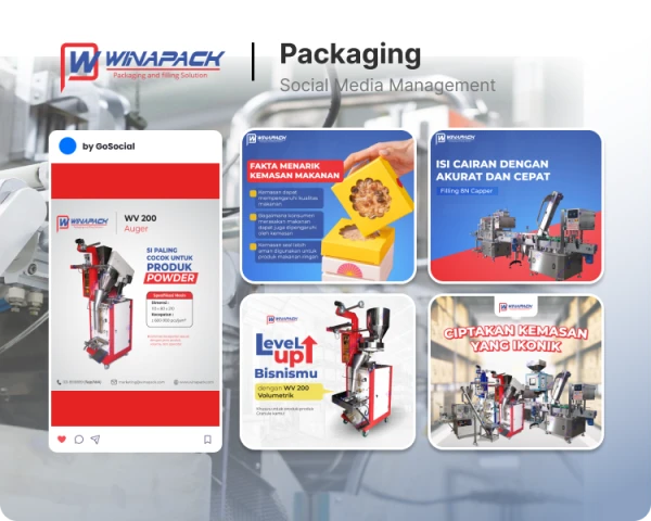 winapack-1759809375.webp