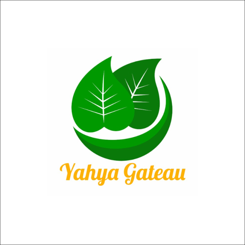 yahya-gateau-3-1657431667.png